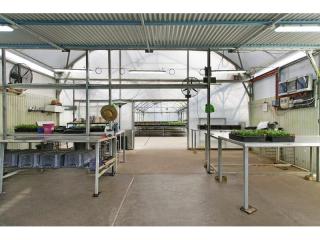 Merchney Greenhouses